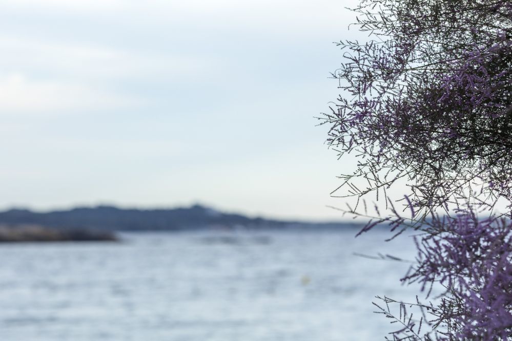 Garden & City - Alentours